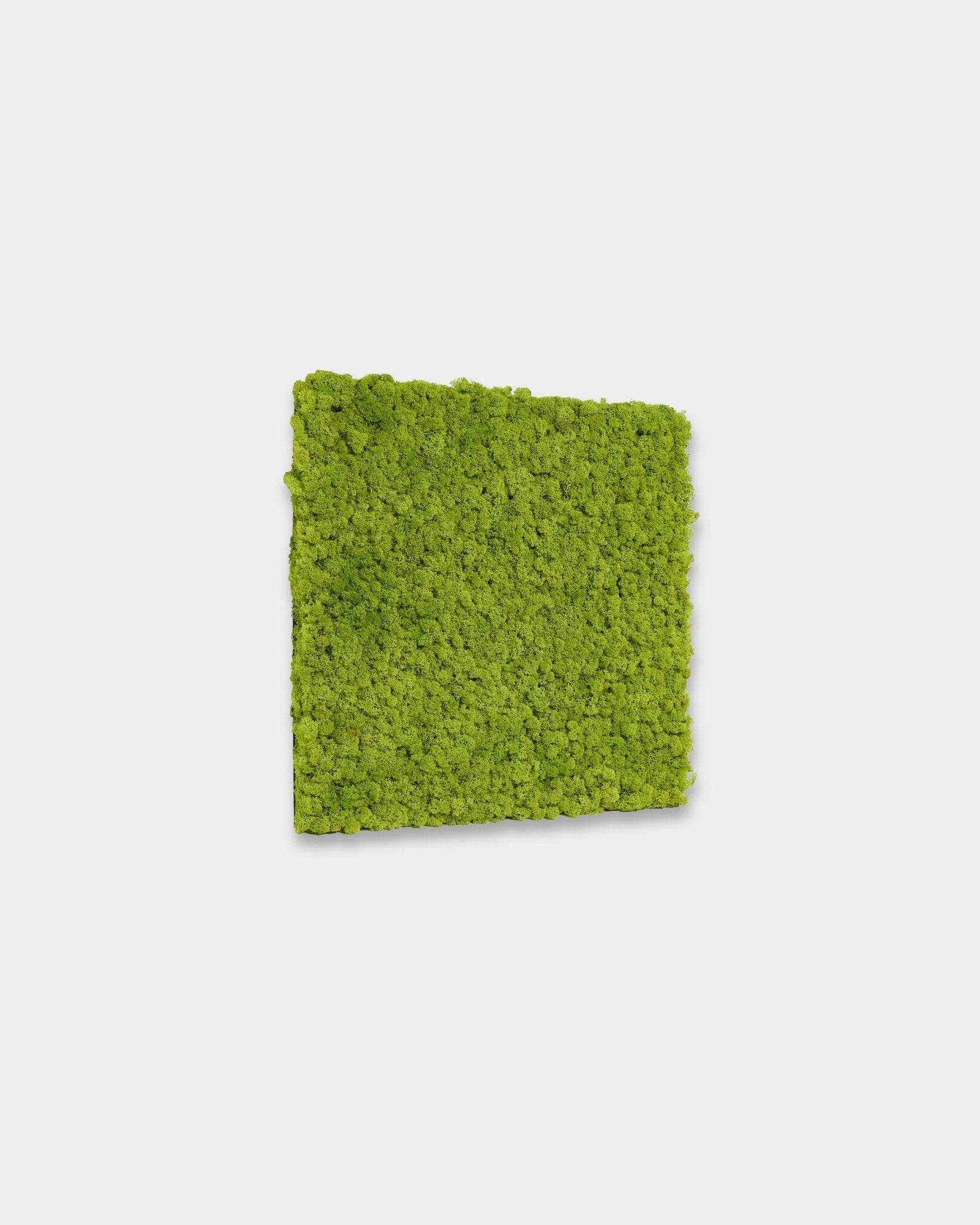 Le Akupixel Panneau acoustique WoodUpp en Apple Green, au format 60 x 60 cm, présente des lattes vert vif sur un fond blanc uni.