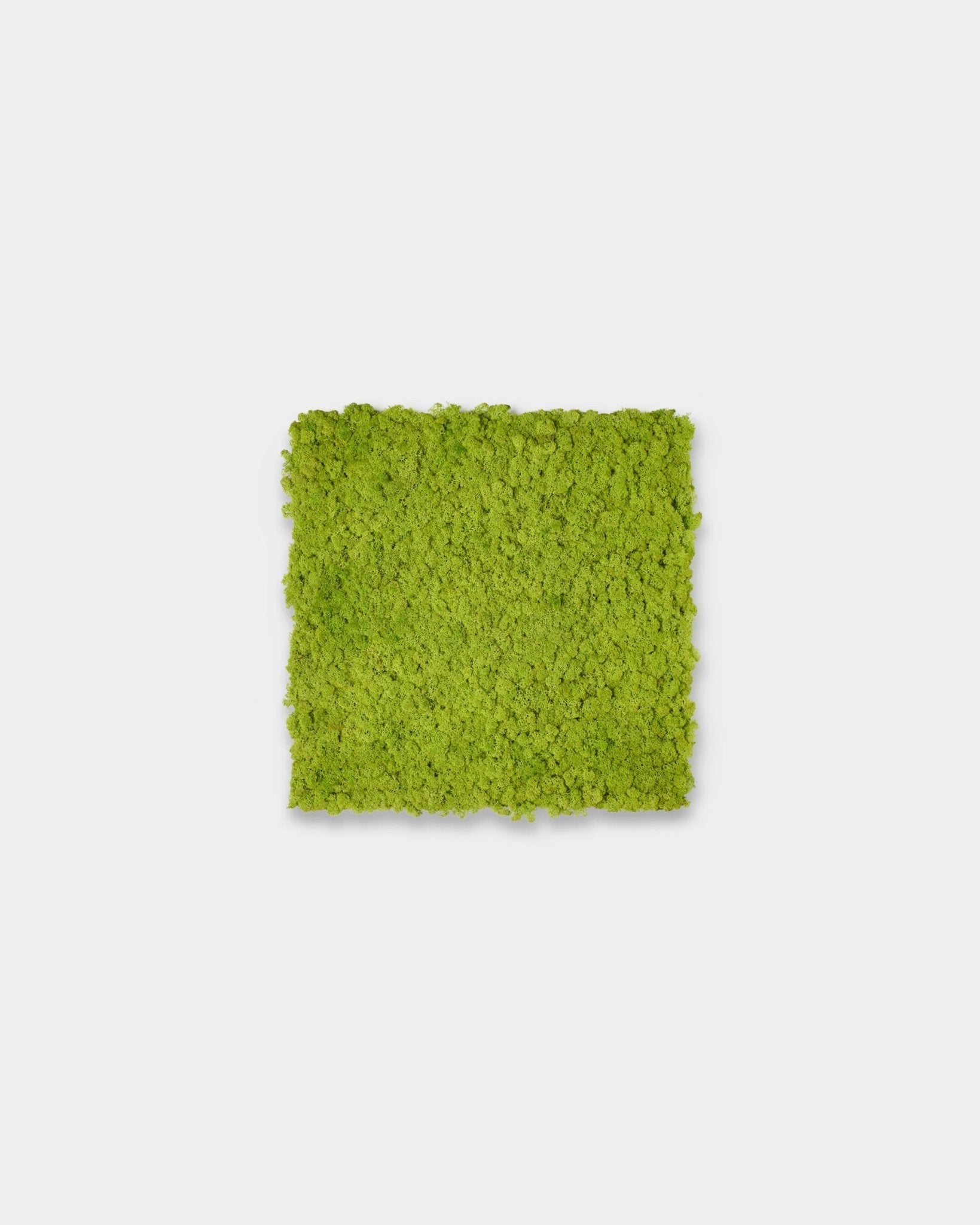 Le Akupixel Panneau acoustique en Apple Green, 60x60cm, de WoodUpp, est présenté comme un accent carré sur un fond gris clair uni.