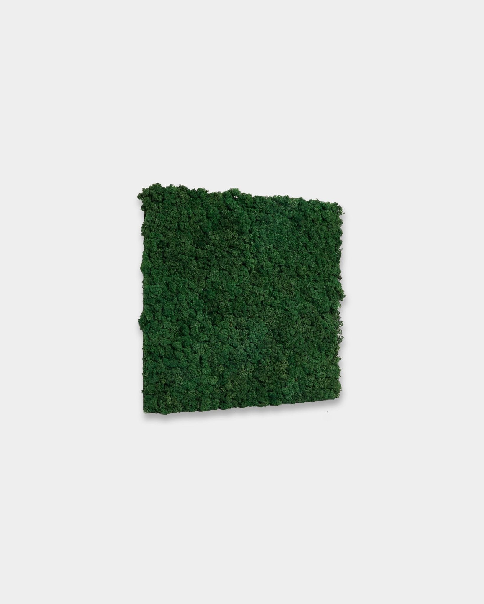 Le Akupixel Moss Green Panneau acoustique WoodUpp (60 x 60 cm), dans une teinte moss green vive, est présenté sur un fond blanc uni.