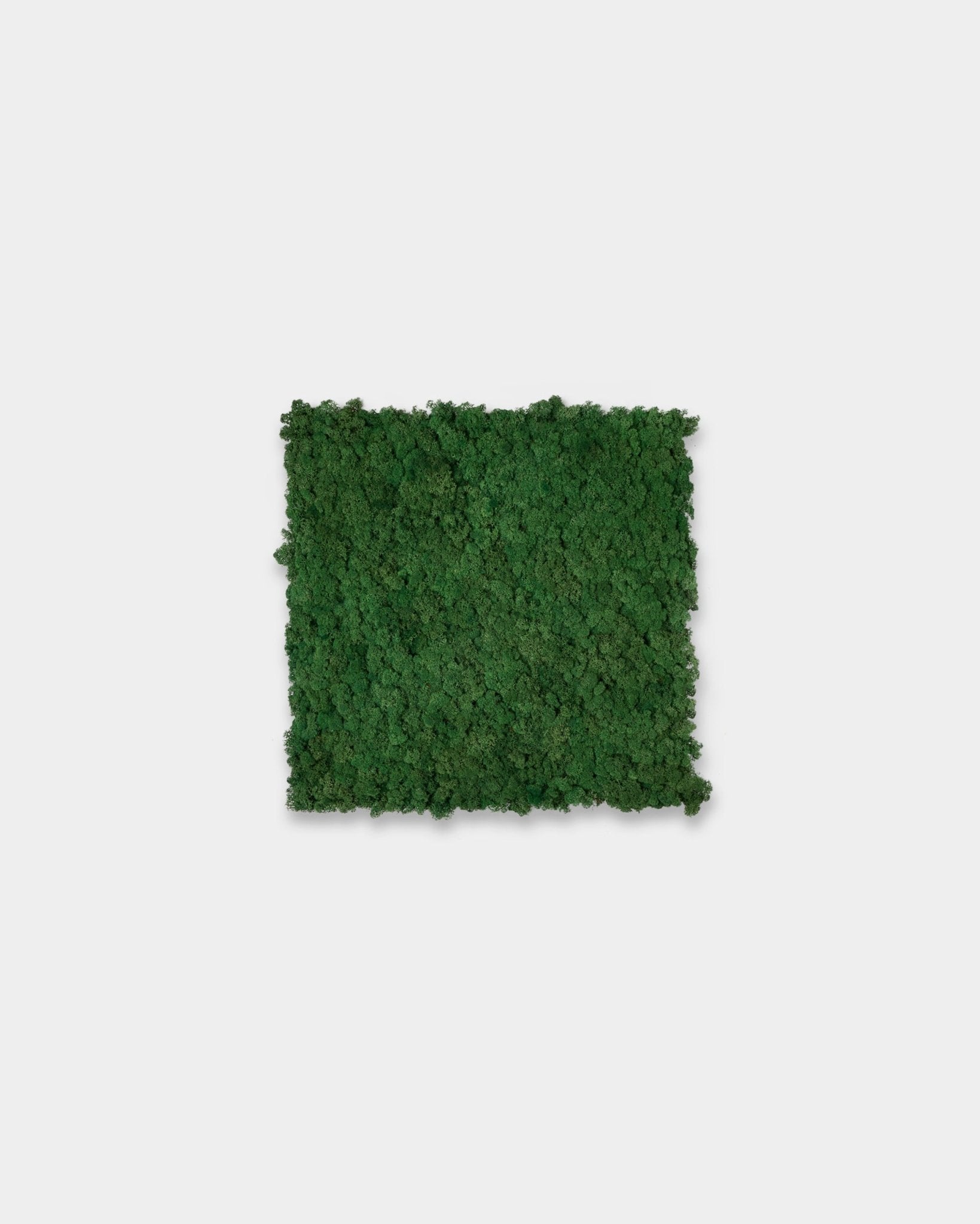 Le Akupixel Panneau acoustique WoodUpp en Moss Green (60x60 cm) présente une surface carrée texturée sur un fond blanc uni.