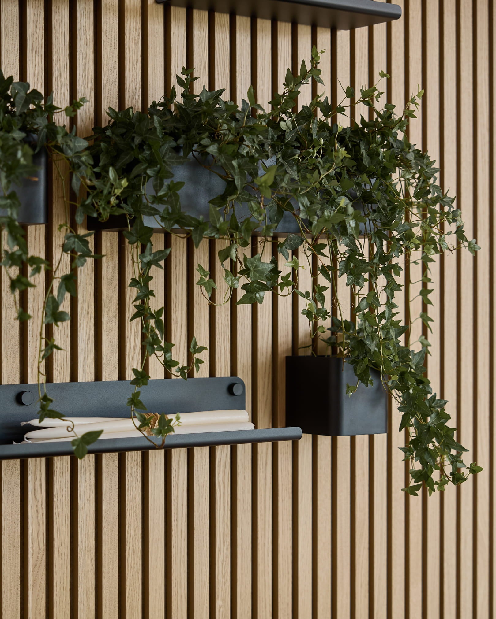 Du lierre vert retombant dans un bac à plantes WoodUpp Norr black (47,9 cm), monté sur un panneau mural à lattes WoodUpp Akupanel, au-dessus d’une étagère avec une serviette blanche roulée.