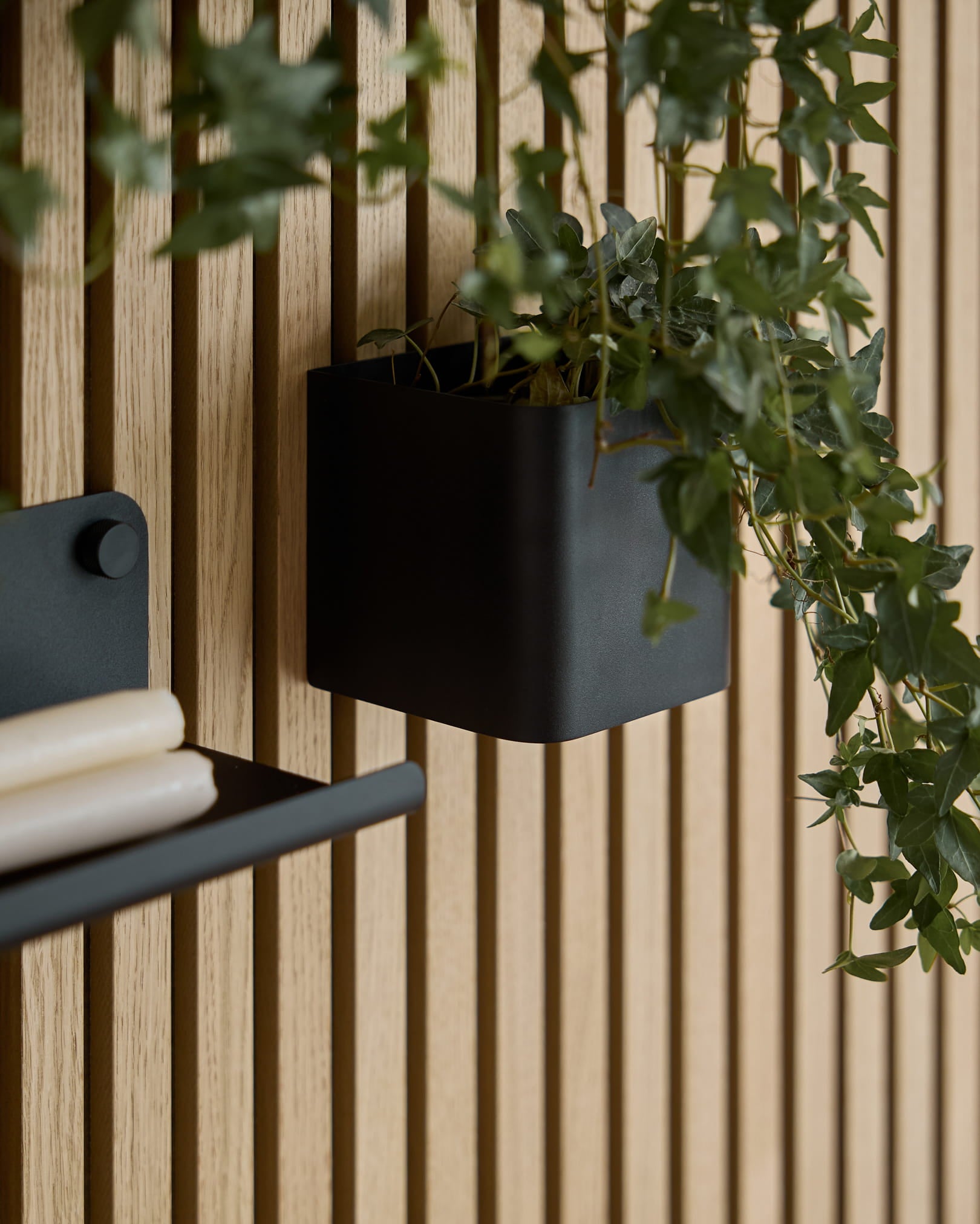Une WoodUpp Norr Plant Box de 11.9 cm en black avec du lierre vert est suspendue à un Akupanel Panneau acoustique en bois clair ; on aperçoit une partie d’une étagère assortie avec des papiers roulés.