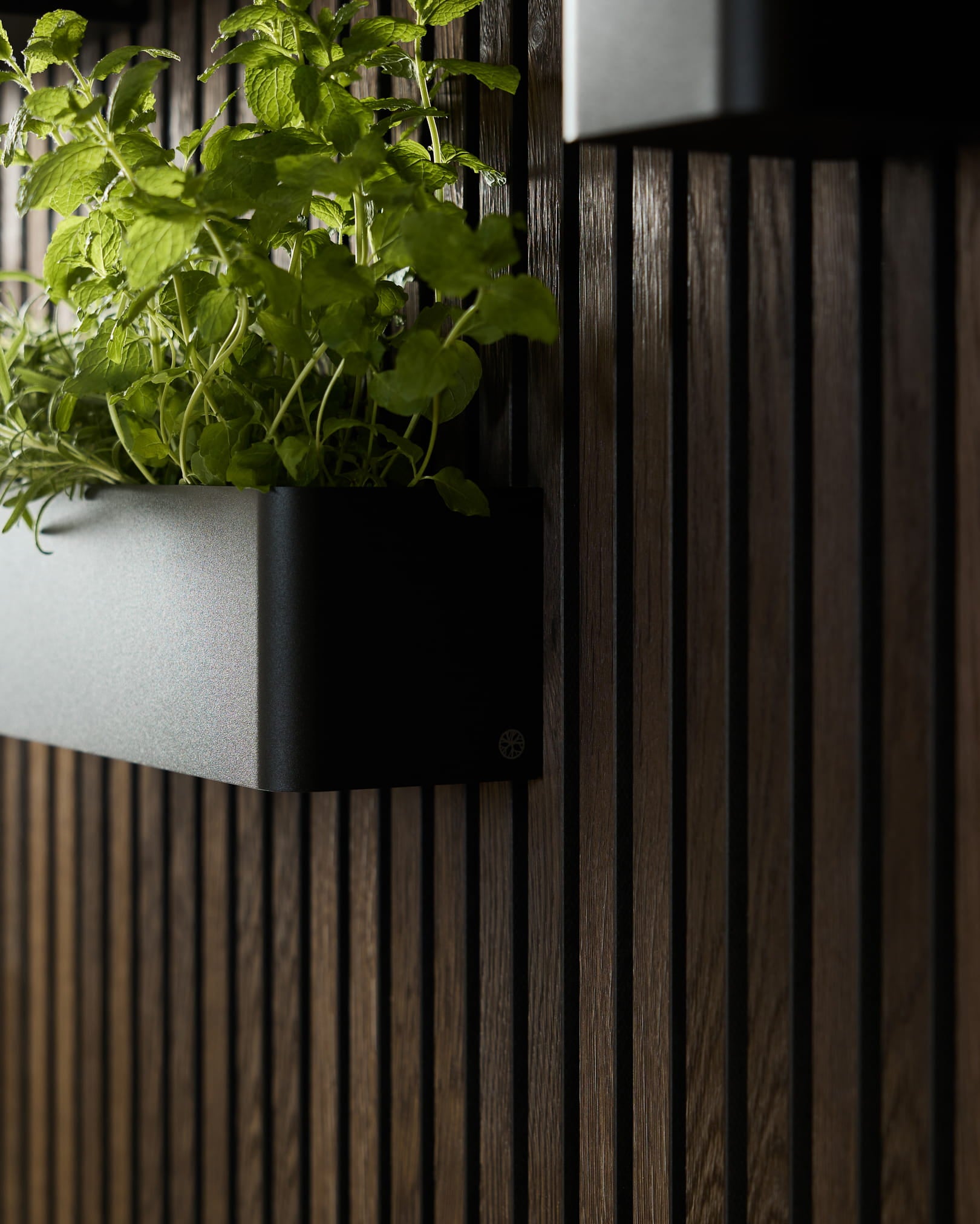 Bac à plantes WoodUpp Norr Black (47,9 cm) en acier inoxydable steel, conçu pour les murs végétaux fixés sur des panneaux acoustiques à lattes en bois foncé.
