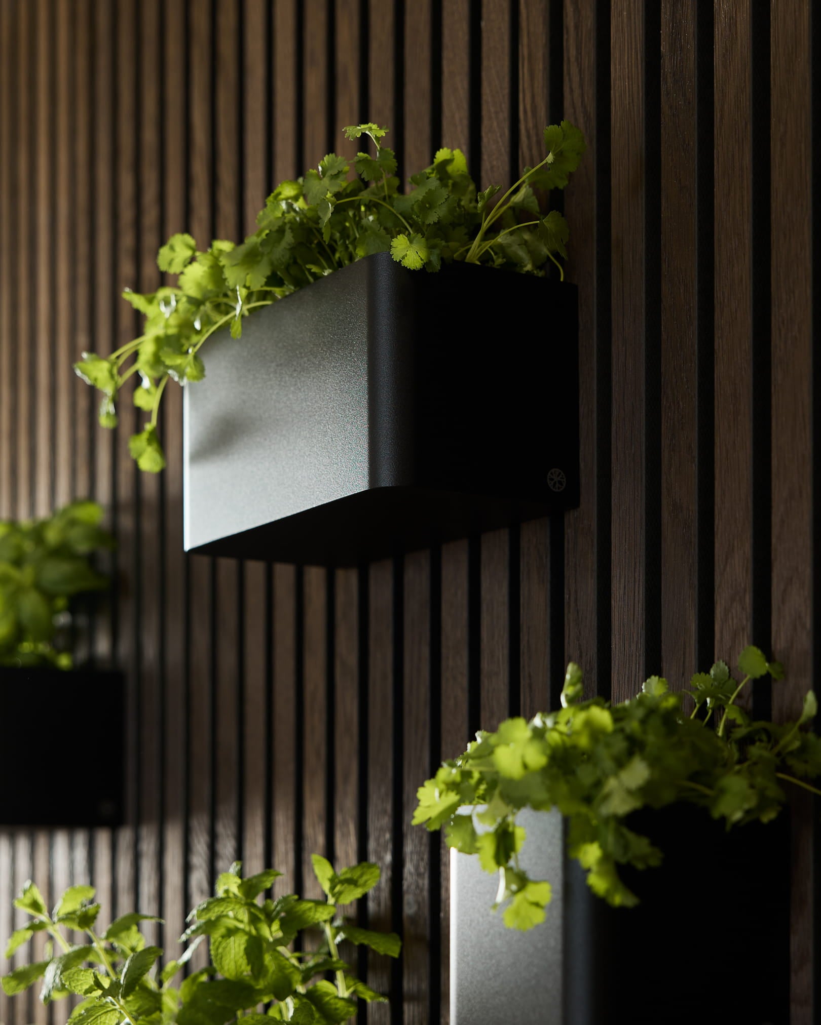Black Norr Plant Box (23,9 cm) de WoodUpp, avec des plantes vertes, fixée sur un Akupanel Panneau acoustique en bois foncé vertical.
